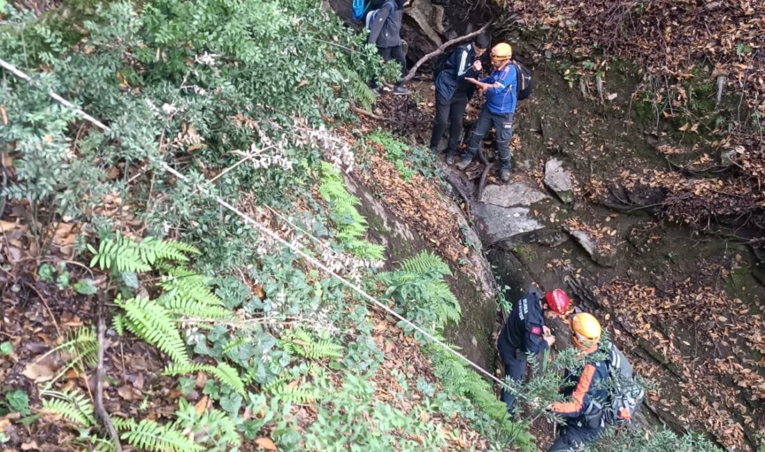 Bursa'nın Yıldırım ilçesinde ormanlık alanda mahsur kalan 3'ü çocuk 4