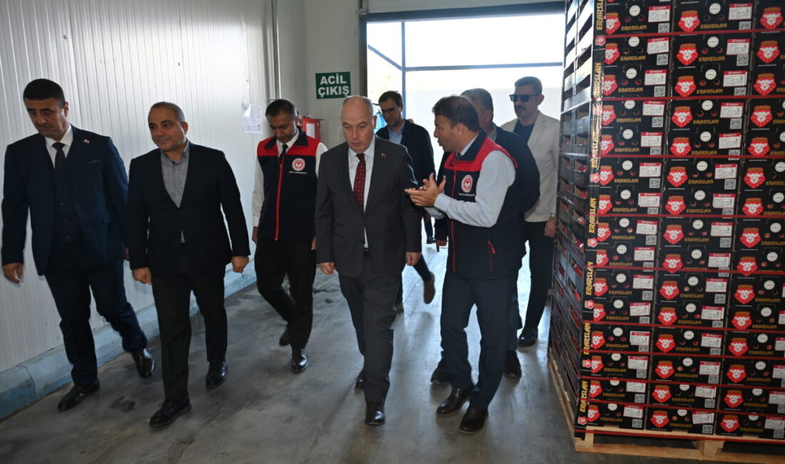  Türkiye'nin nar üretiminde önde gelen şehirleri arasında yer alan Denizli'de,