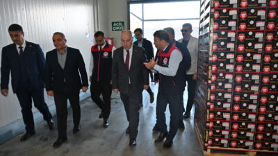  Türkiye'nin nar üretiminde önde gelen şehirleri arasında yer alan Denizli'de,