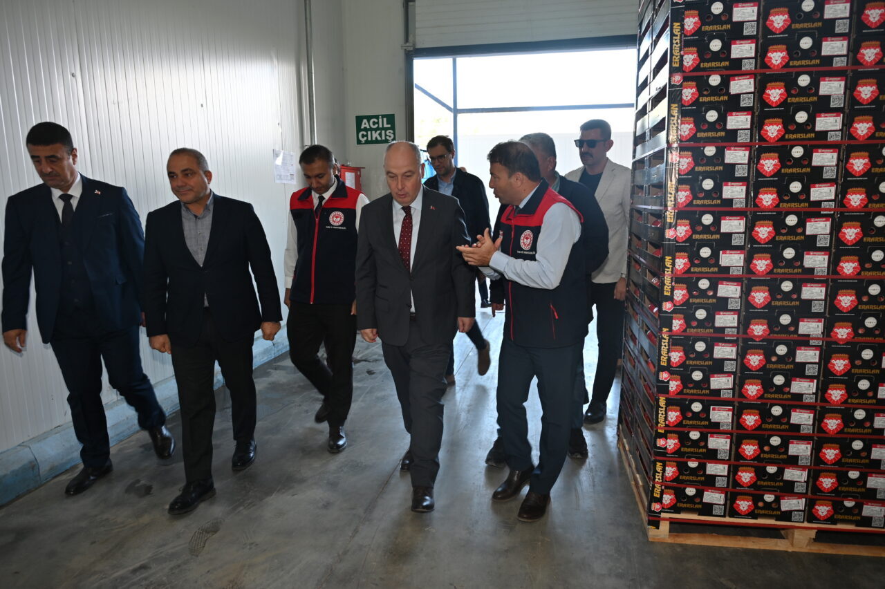  Türkiye'nin nar üretiminde önde gelen şehirleri arasında yer alan Denizli'de,