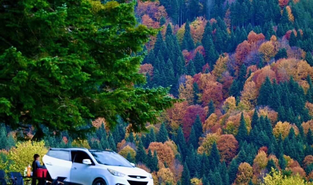 Düzce'deki Odayeri Yaylası ve Torkul Göleti, yeşil, sarı, kızıl ve