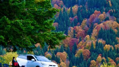 Düzce'deki Odayeri Yaylası ve Torkul Göleti, yeşil, sarı, kızıl ve