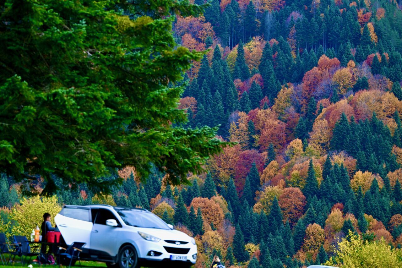 Düzce'deki Odayeri Yaylası ve Torkul Göleti, yeşil, sarı, kızıl ve