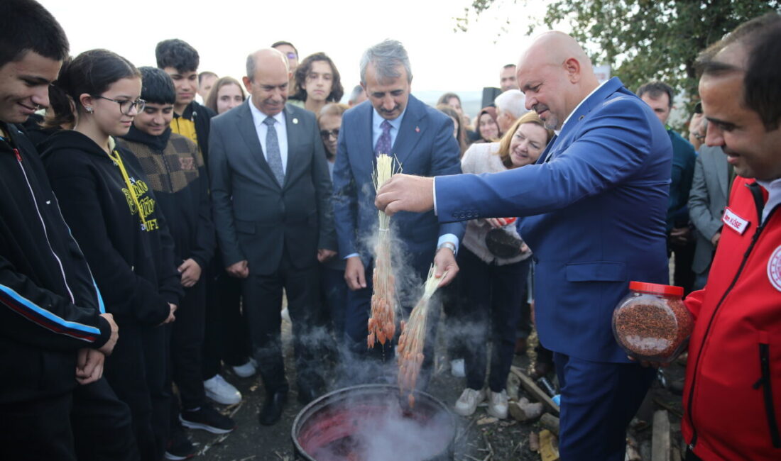  Osmanlı döneminde, formülü Avrupa'ya casusluk yoluyla çıkarıldığı için "efsane renk"