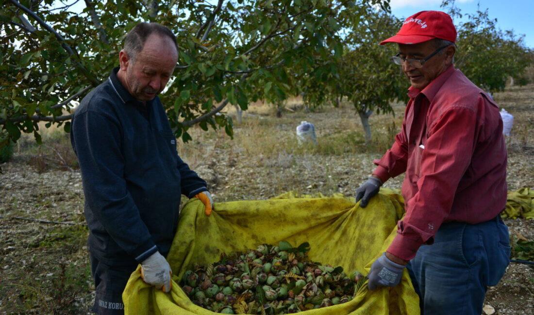 Manisa'nın Demirci ilçesinde yaşayan Hüseyin Sönmez, emekli olduktan sonra köyüne