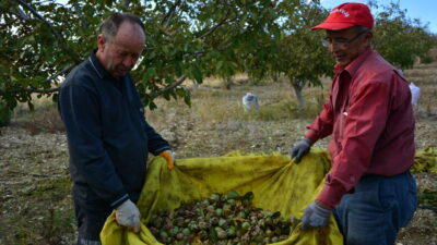 Manisa'nın Demirci ilçesinde yaşayan Hüseyin Sönmez, emekli olduktan sonra köyüne