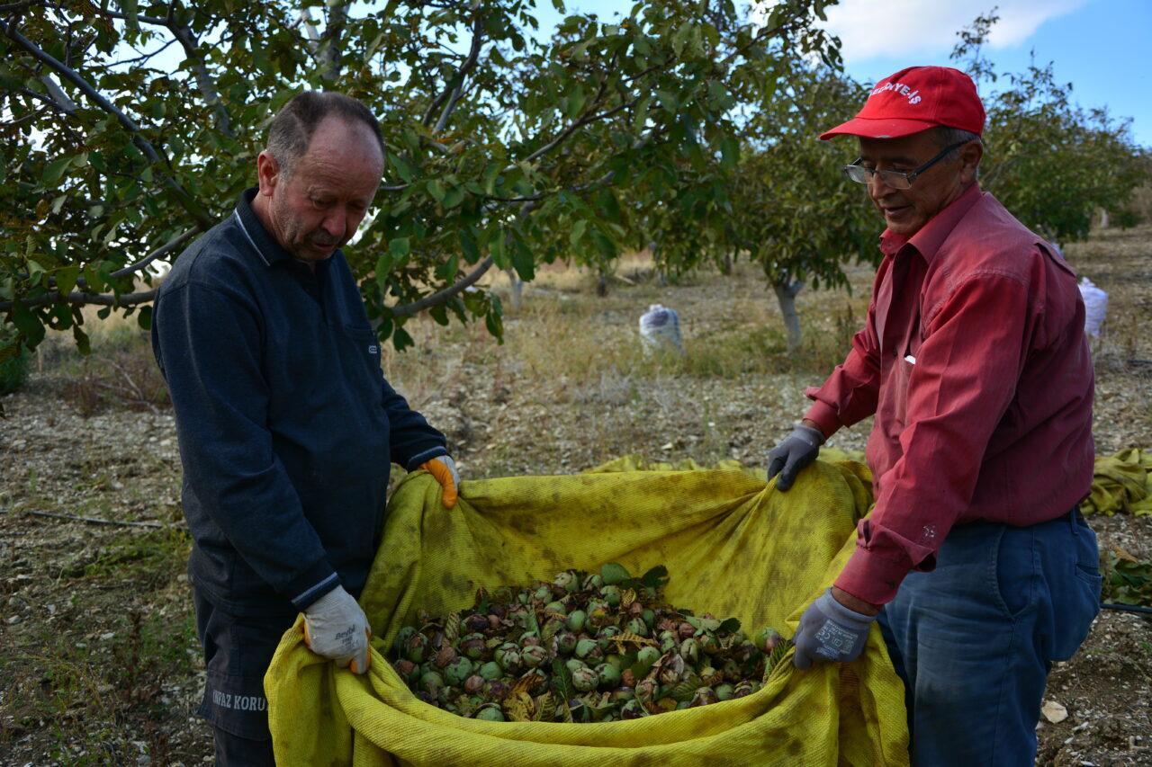 Manisa'nın Demirci ilçesinde yaşayan Hüseyin Sönmez, emekli olduktan sonra köyüne
