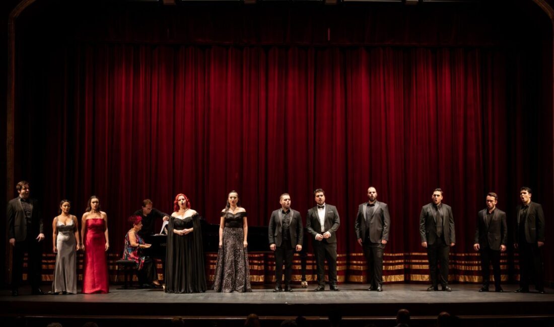  İstanbul Devlet Opera ve Balesi (İDOB) bünyesinde, Sedat-Güzin Gürel Sanat