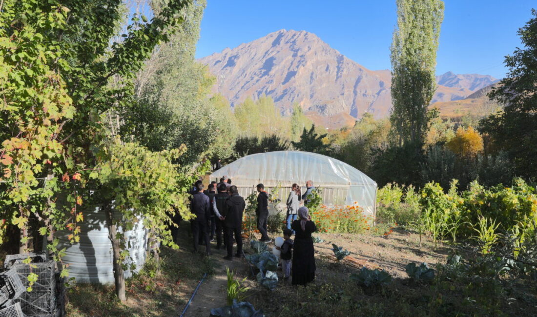Hakkari genelinde yapımı tamamlanan 47 seradan 18'i kent merkezindeki kadın