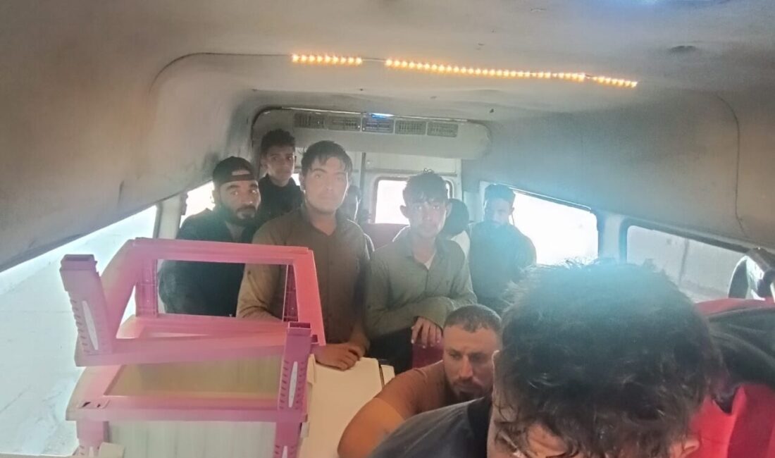 Hatay'da yasa dışı yollarla yurda giren 12 Suriye uyruklu yakalandı.