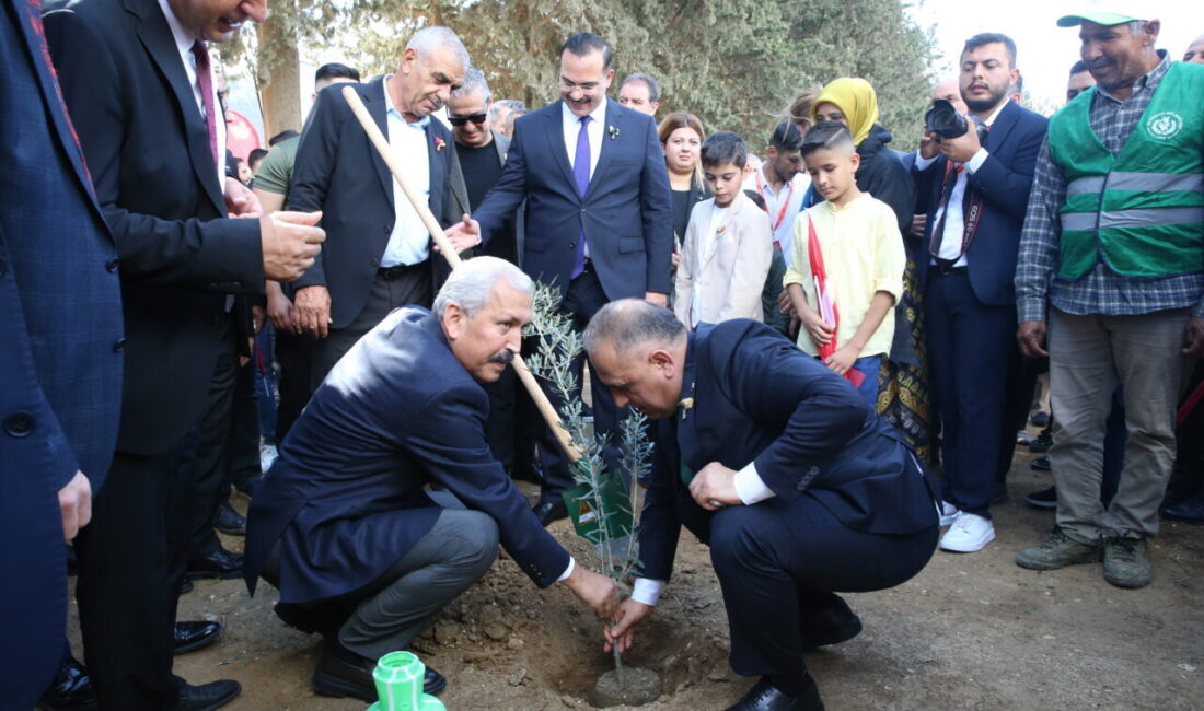  Hatay'ın Altınözü ilçesinde düzenlenen 9. Zeytin, Zeytinyağı ve Gastronomi Festivali
