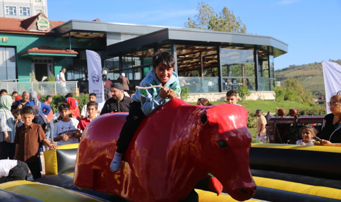 Hatay'ın Altınözü ilçesinde 9. Zeytin, Zeytinyağı ve Gastronomi Festivali düzenlendi.