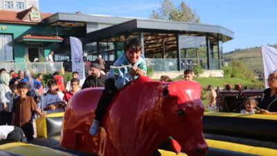 Hatay'ın Altınözü ilçesinde 9. Zeytin, Zeytinyağı ve Gastronomi Festivali düzenlendi.