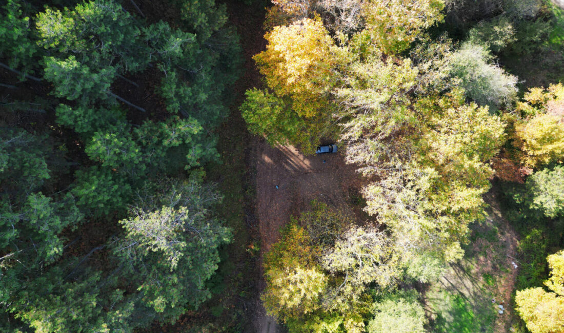  İzmir'in Kemalpaşa ve Bayındır ilçeleri arasında yer alan Ovacık Yaylası,
