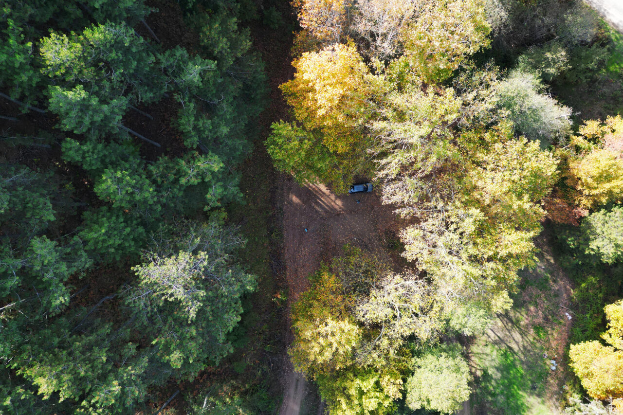 İzmir'in Kemalpaşa ve Bayındır ilçeleri arasında yer alan Ovacık Yaylası,