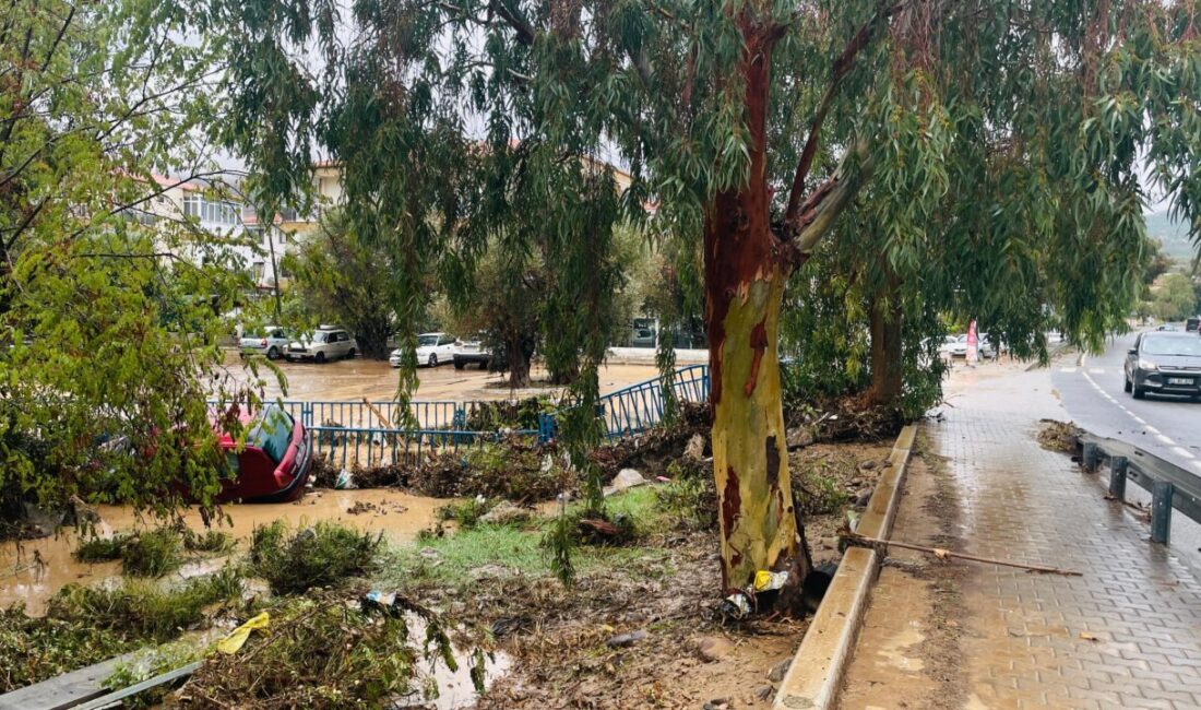  İzmir'in Foça ilçesinde etkili olan sağanak nedeniyle dere taştı, bazı
