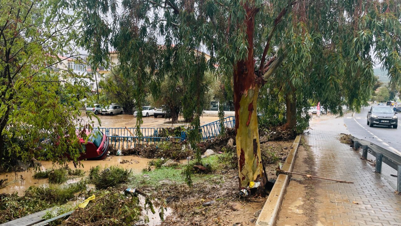  İzmir'in Foça ilçesinde etkili olan sağanak nedeniyle dere taştı, bazı