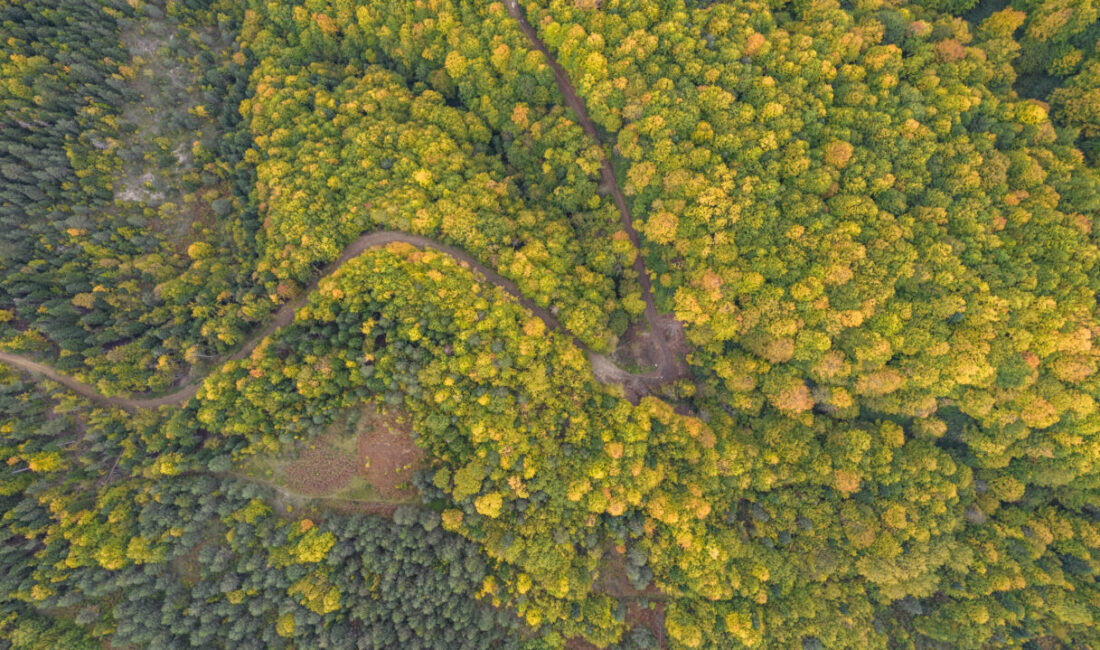 Kastamonu'da sonbaharın renkleri havadan görüntülendi.