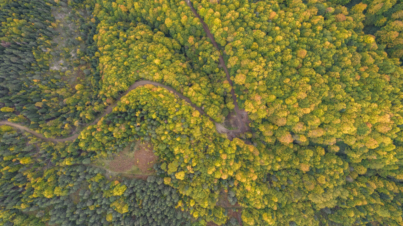Kastamonu'da sonbaharın renkleri havadan görüntülendi.