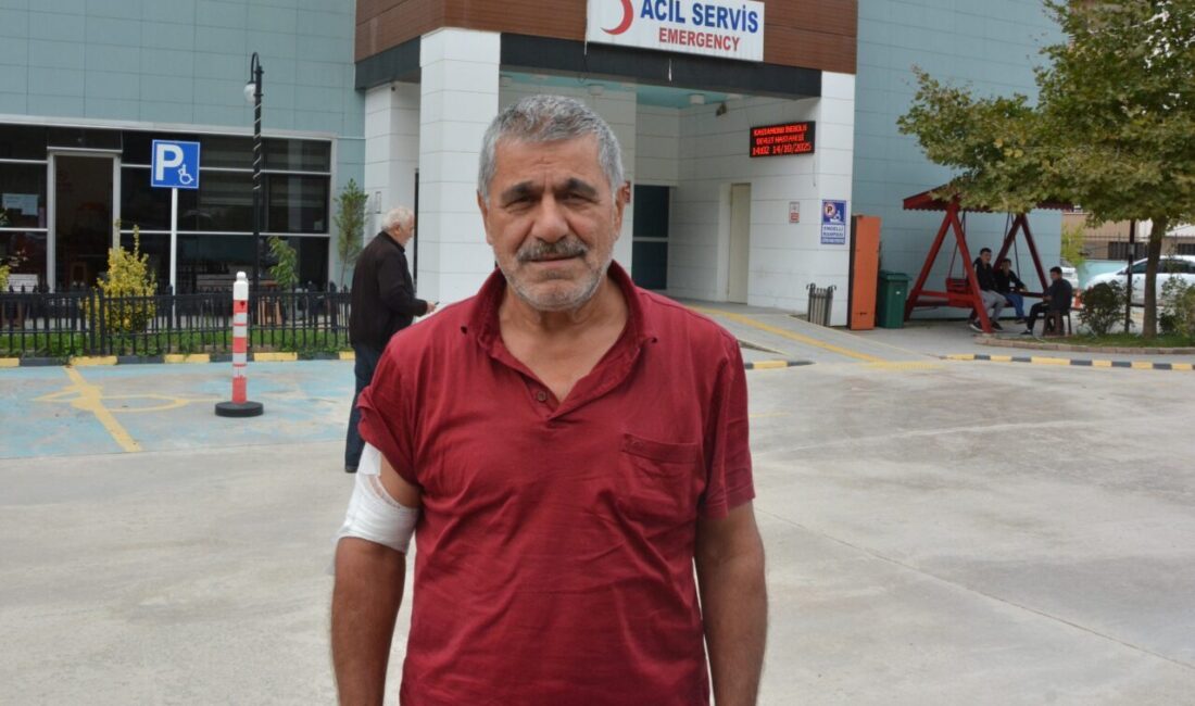 Kastamonu'nun İnebolu ilçesinde kestane toplarken karşılaştığı ayıdan kaçarken düşen çiftçi