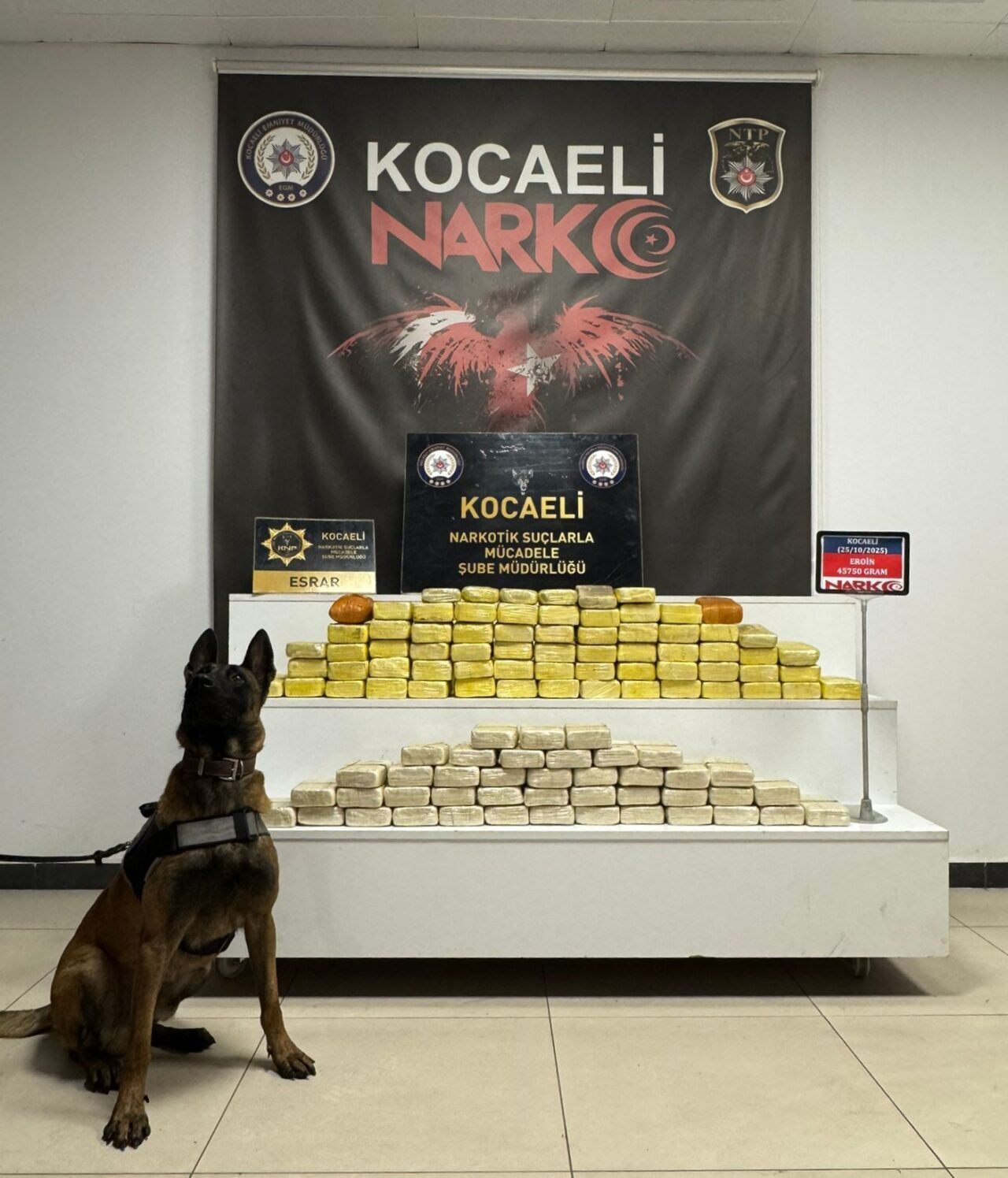 Kocaeli'de bir otomobilde 45 kilo 750 gram eroin ile 1