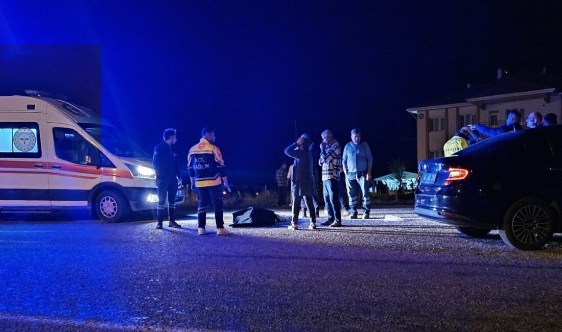 Malatya'nın Doğanşehir ilçesinde hafif ticari aracın çarptığı yaya, yaşamını yitirdi.