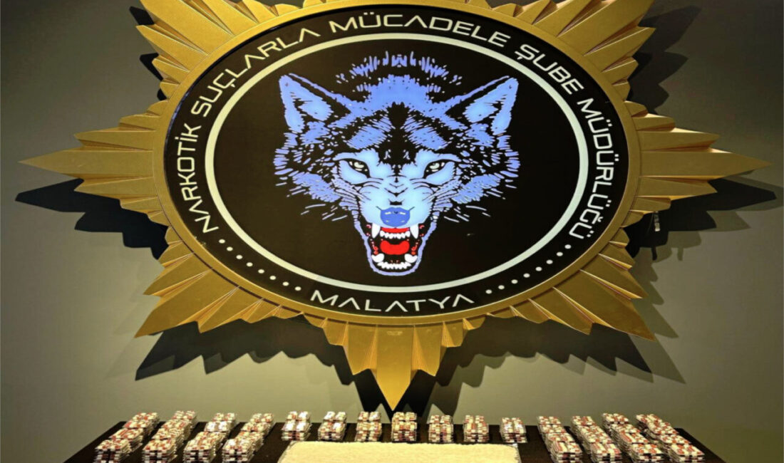 Malatya'da düzenlenen uyuşturucu operasyonunda 10 şüpheli gözaltına alındı.