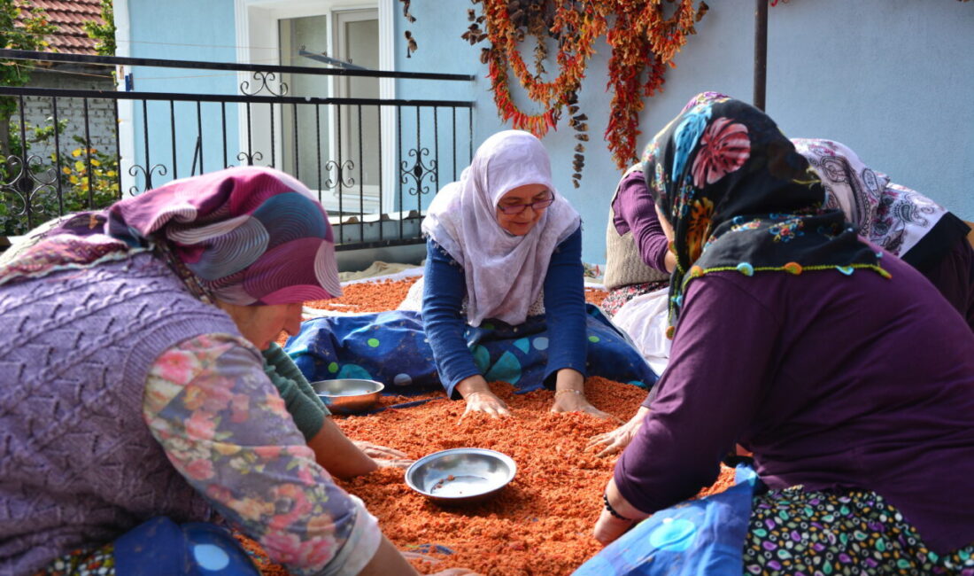 Manisa'nın Demirci ilçesinde, soğuk havalarda tüketilmek üzere, günler süren çalışmayla