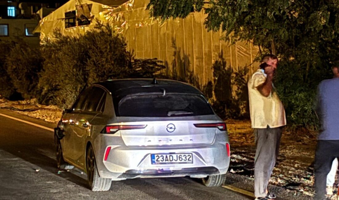 Mersin'in Anamur ilçesinde otomobilin çarptığı yaya hayatını kaybetti.