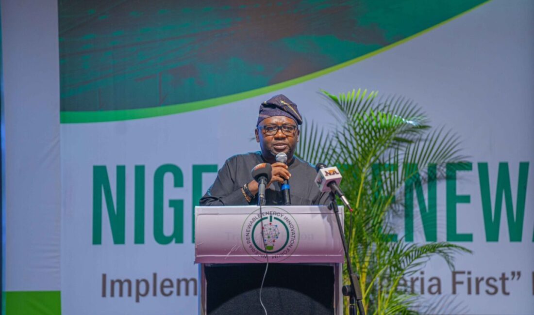Nijerya Devlet Başkanı Yardımcısı Kashim Shettima, ülkesinin yenilenebilir enerji üretim