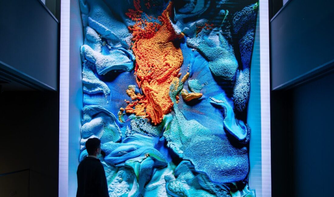 Refik Anadol'un "Büyük Doğa Modeli" projesinin ilk eseri olan "Türkiye-Flora",