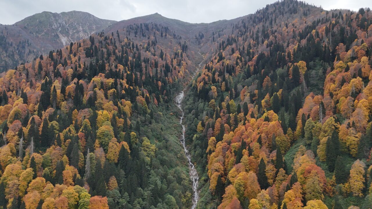 Rize'nin Çamlıhemşin ilçesine bağlı Ayder Yaylası sonbahar renklerine büründü.