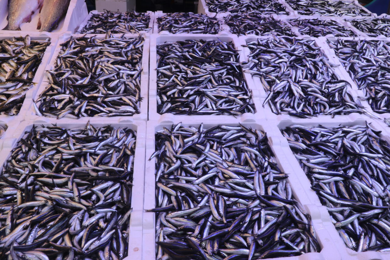  Rize'de hamsinin kilogramı 100 liradan satışa sunuldu.