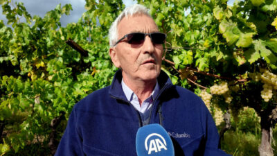  Sakarya'nın Pamukova ilçesinde üzüm üreticileri, hırsızlık olaylarına karşı jandarma ekipleriyle