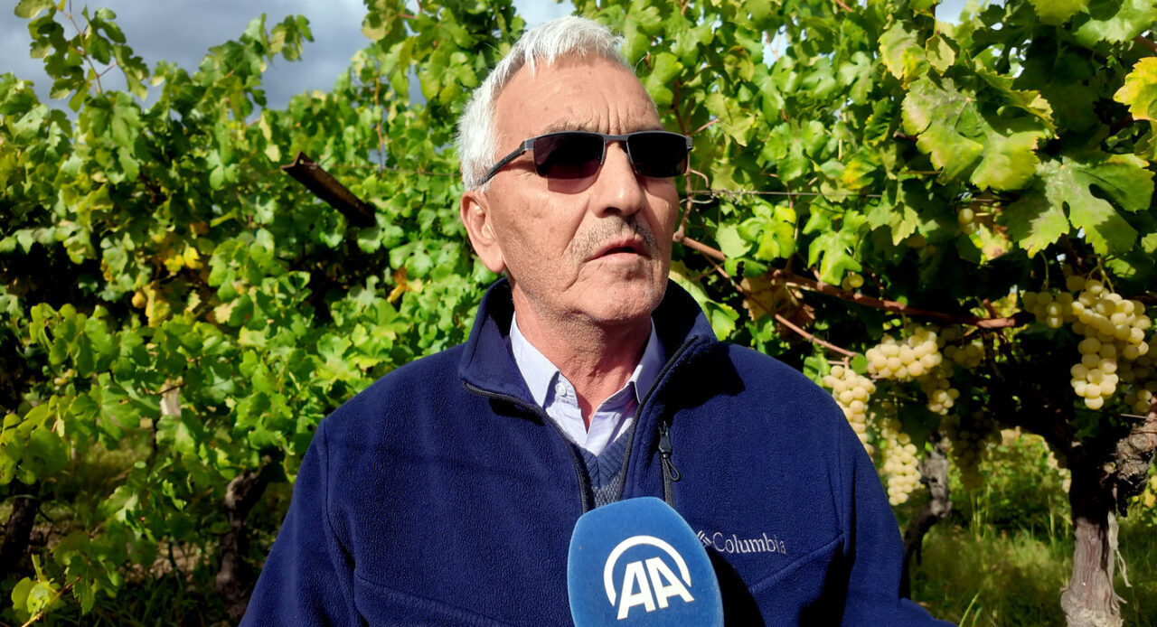  Sakarya'nın Pamukova ilçesinde üzüm üreticileri, hırsızlık olaylarına karşı jandarma ekipleriyle