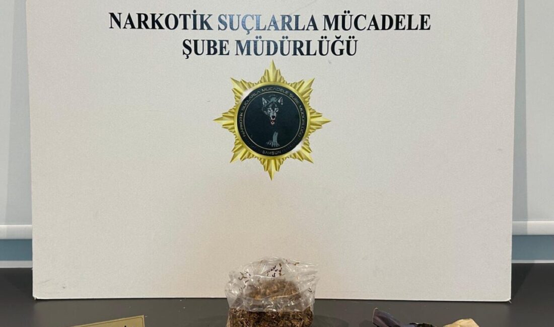 Samsun'da düzenlenen uyuşturucu operasyonunda 9 şüpheli gözaltına alındı.