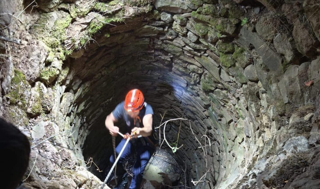 Siirt'in Baykan ilçesinde su kuyusuna düşen inek ekiplerce kurtarıldı.