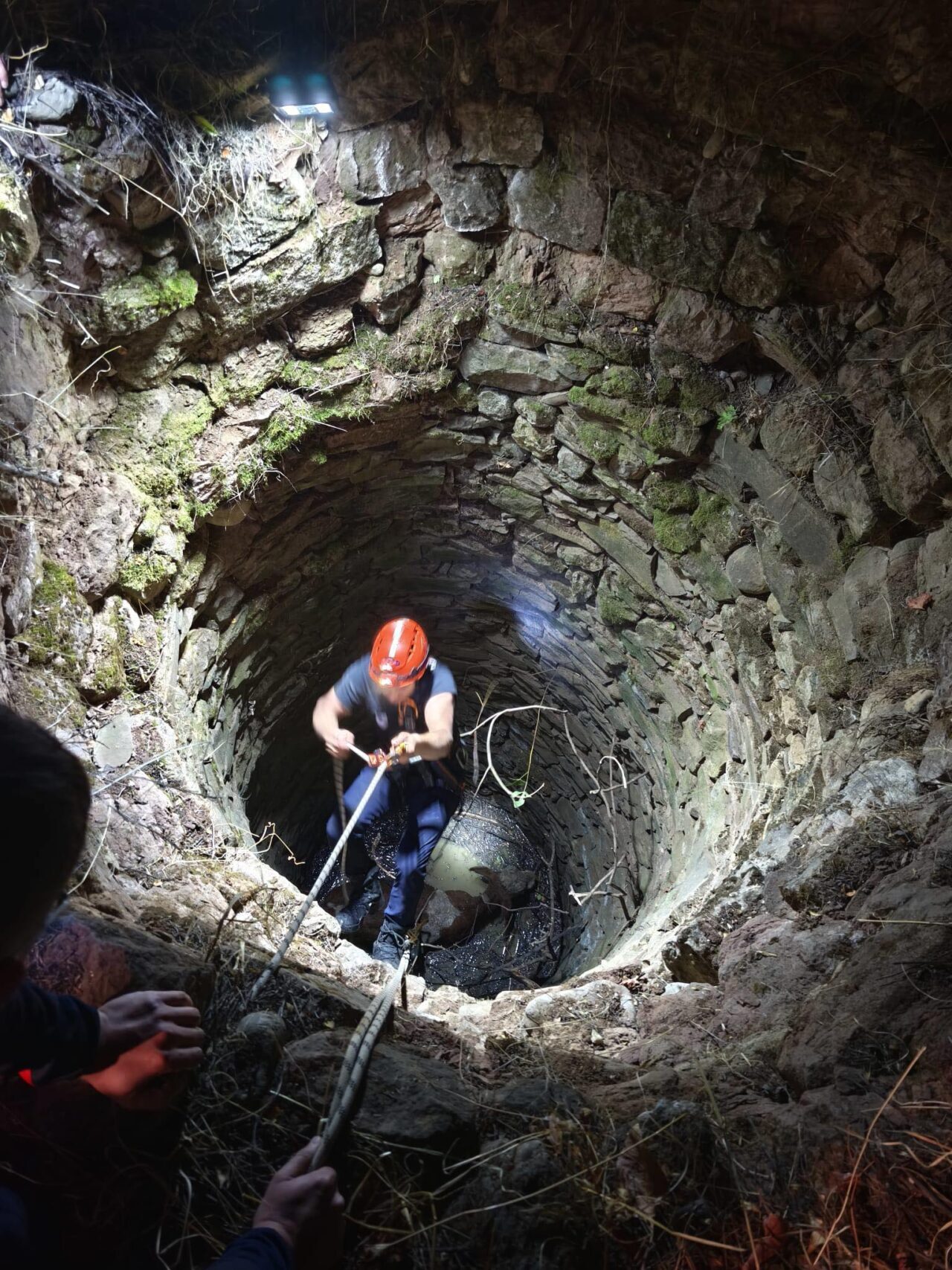  Siirt'in Baykan ilçesinde su kuyusuna düşen inek ekiplerce kurtarıldı.