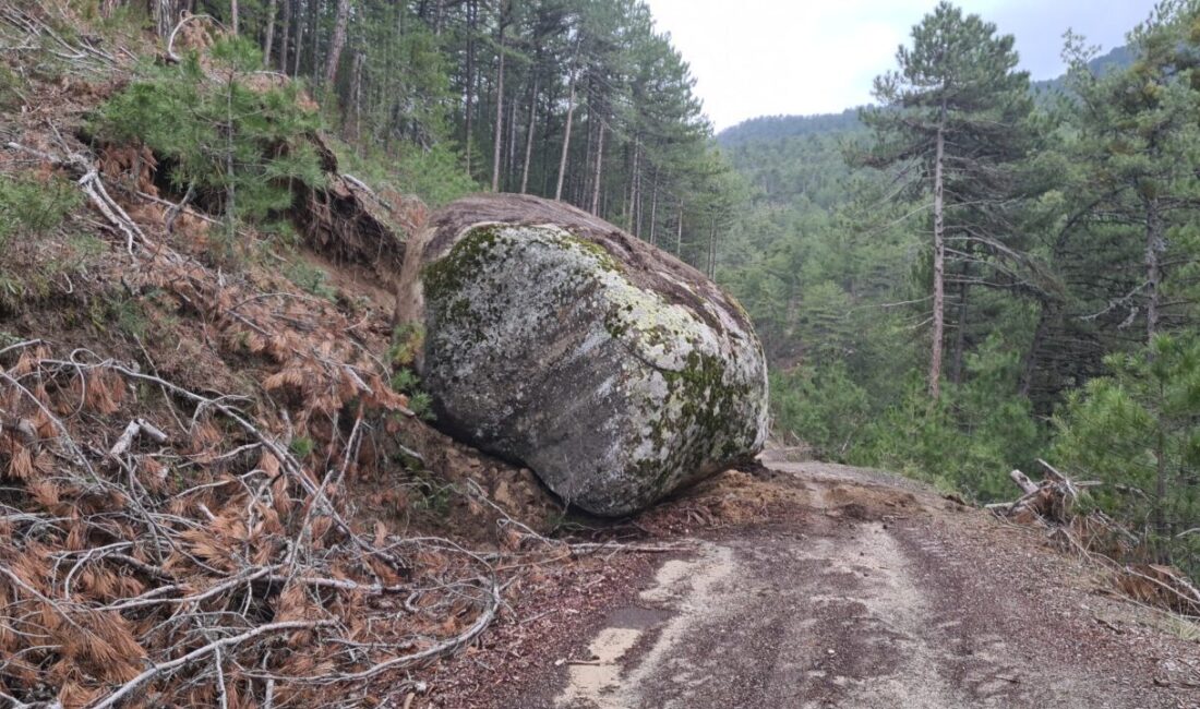 Balıkesir'in Sındırgı ilçesinde meydana gelen 6,1 büyüklüğündeki depremin ardından, Kütahya'nın