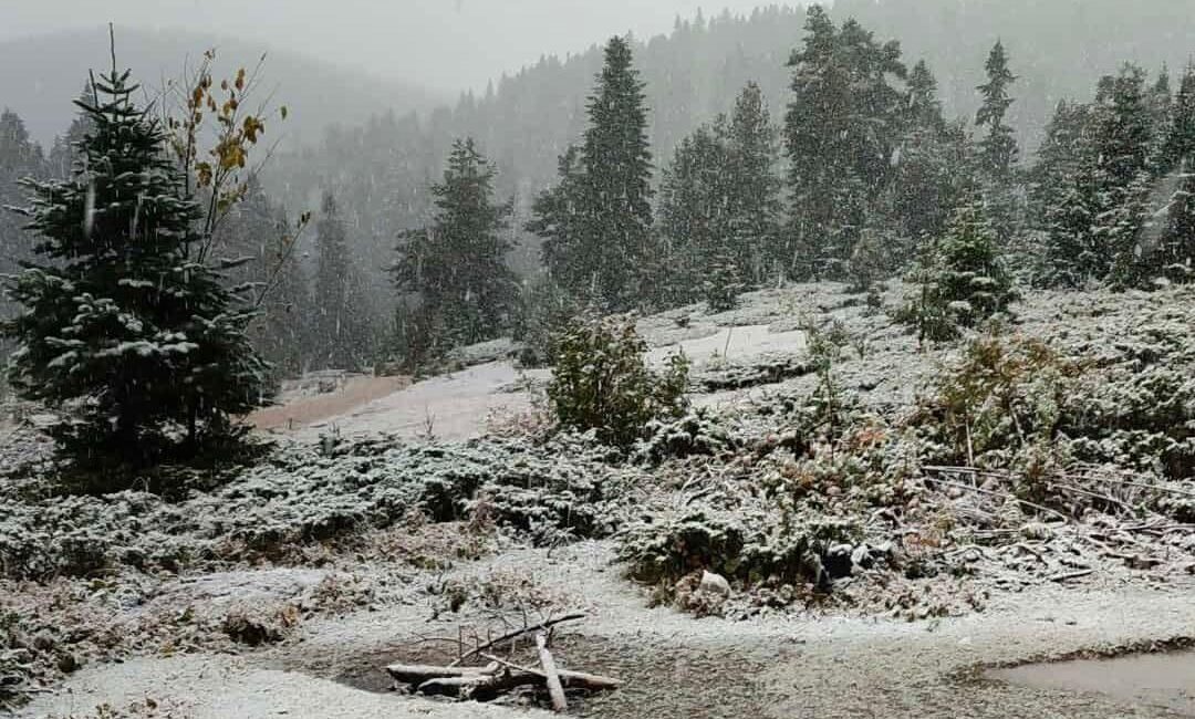  Sinop'un Türkeli ilçesindeki Hacıağaç Yaylası'na mevsimin ilk karı yağdı.
