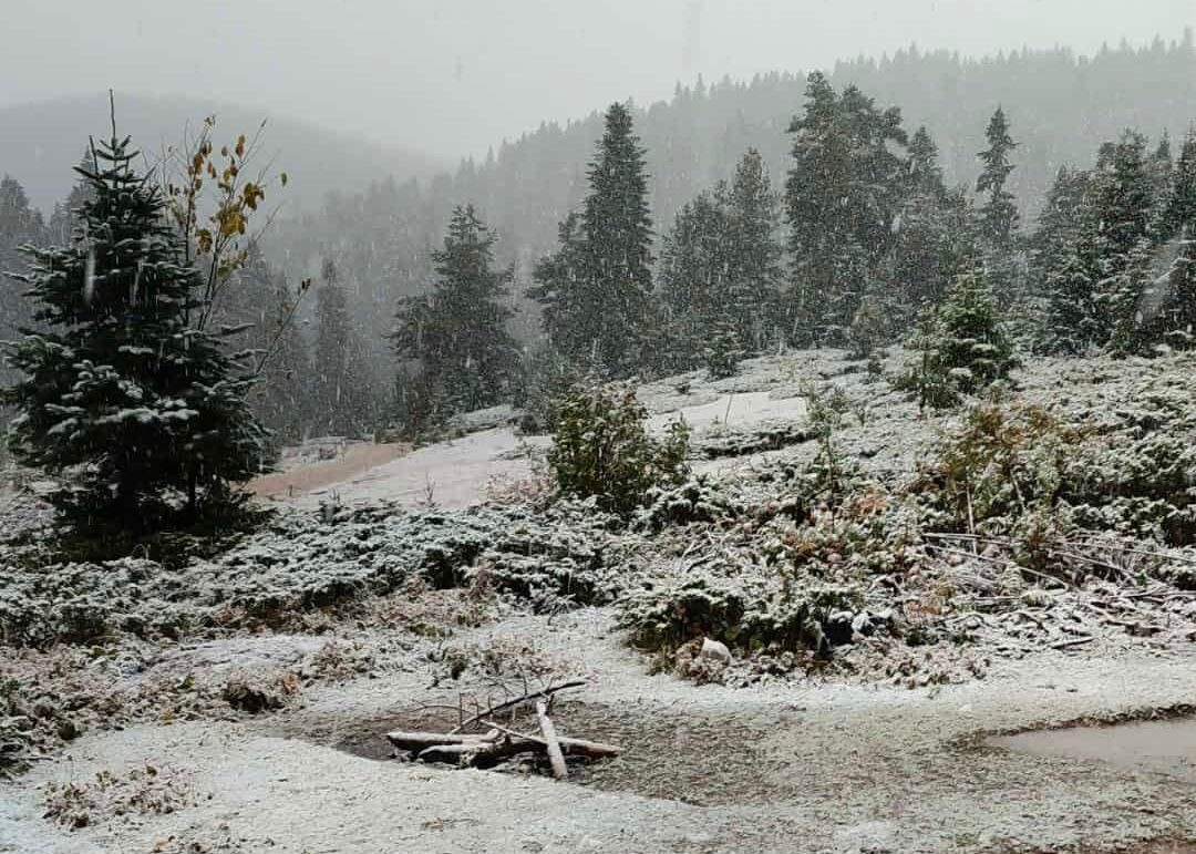  Sinop'un Türkeli ilçesindeki Hacıağaç Yaylası'na mevsimin ilk karı yağdı.