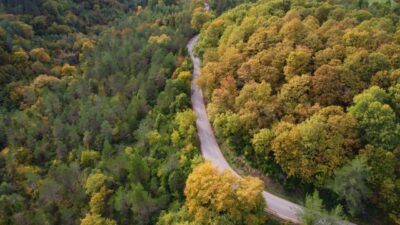  Sinop'un Ayancık ilçesindeki gür ormanlarda sonbahar güzelliği yaşanıyor.