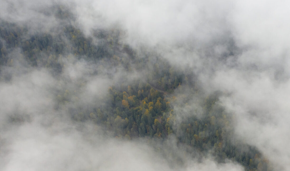Bolu'nun doğal güzellikleriyle ünlü Yedigöller Milli Parkı yolunda etkili olan