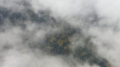 Bolu'nun doğal güzellikleriyle ünlü Yedigöller Milli Parkı yolunda etkili olan
