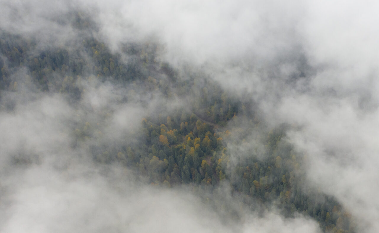 Bolu'nun doğal güzellikleriyle ünlü Yedigöller Milli Parkı yolunda etkili olan