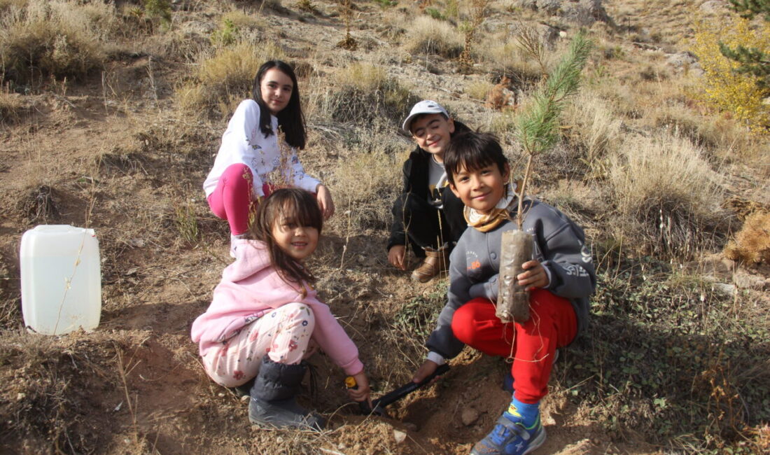 Sivas'ın Zara ilçesinde Yeşil Zara Gönüllüleri Derneği ve Zara Gençlik
