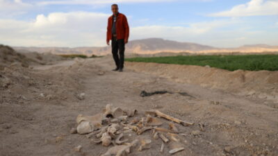 Suriye'nin başkenti Şam'ın Duma bölgesinde, 20 kişiye ait ceset kalıntılarının