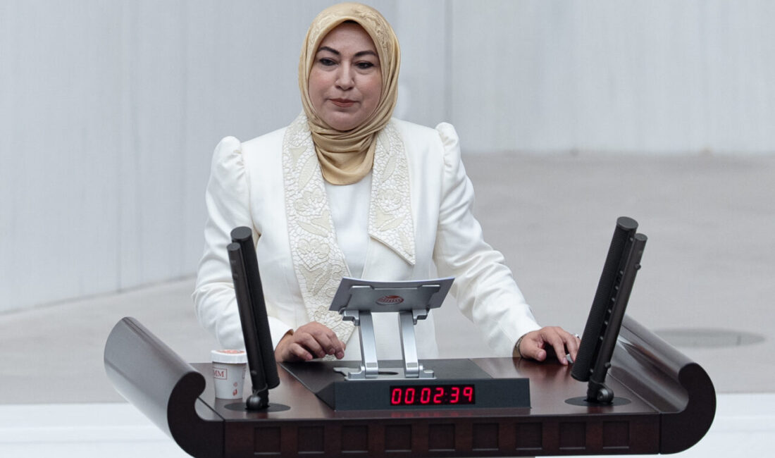 TBMM Genel Kurulunda CHP, DEM Parti, İYİ Parti ve Yeni