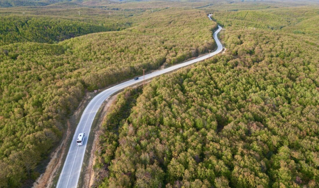 Tekirdağ'ın Saray ilçesinde ormanlık alanlarda sonbaharın renkleri hakim oluyor.