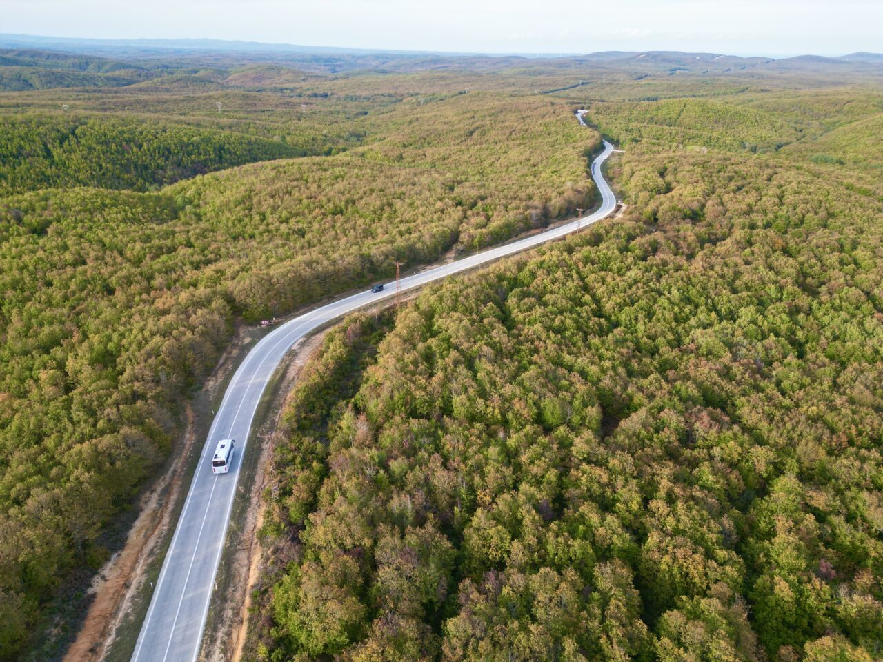 Tekirdağ'ın Saray ilçesinde ormanlık alanlarda sonbaharın renkleri hakim oluyor.